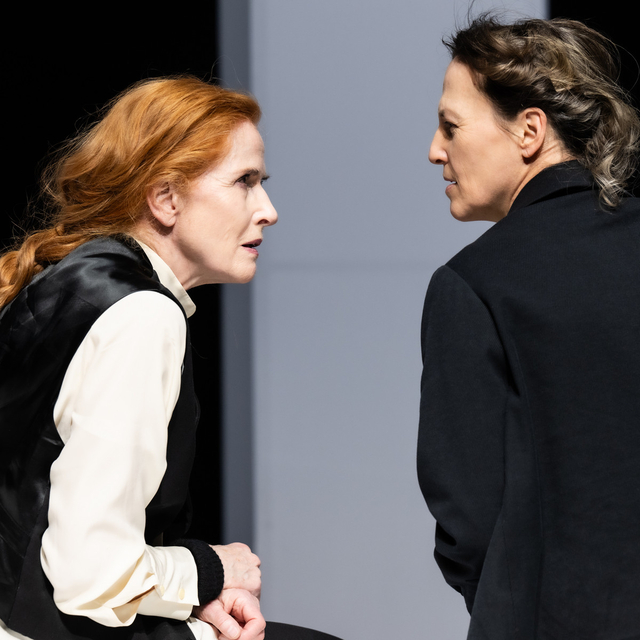 Ein sanfter Tod, Marstall Theater