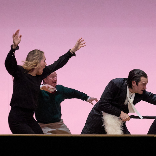 Wokey Wokey, Theater München, Kammerspiele München