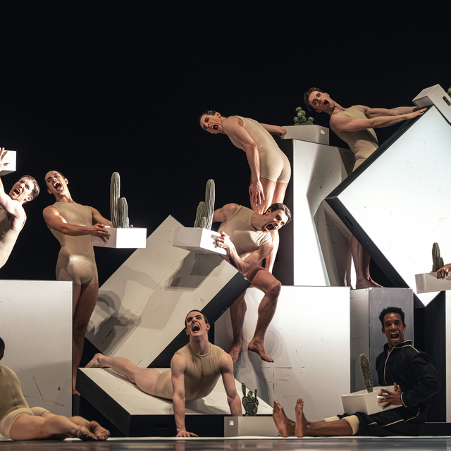 Cacti, Common Ground, Nationaltheater