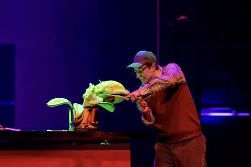 Der kleine Horrorladen - Deutsches Theater München