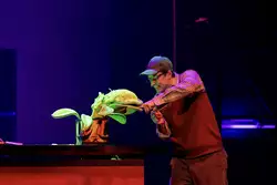 Der kleine Horrorladen - Deutsches Theater München