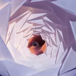 Into the Fold - HochX München