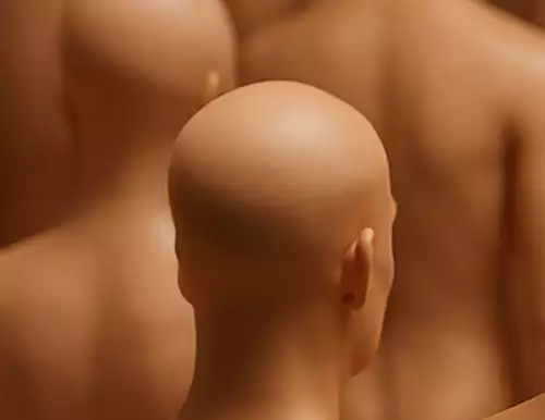 Elementarteilchen