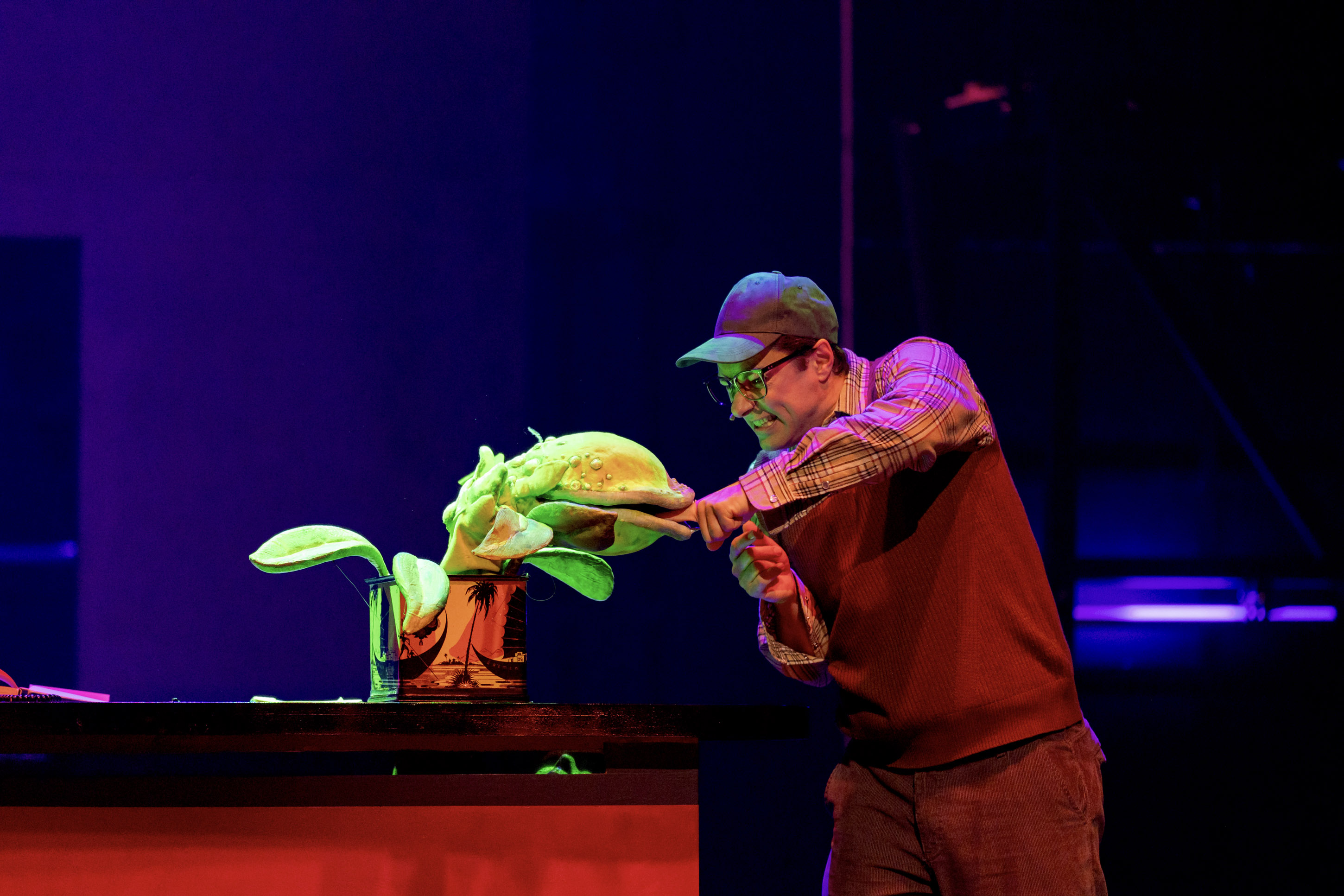 Der kleine Horrorladen, Deutsches Theater M&uuml;nchen