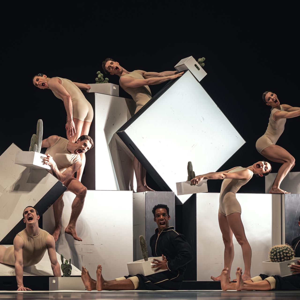 Cacti Ensemble, Teil der Ballettauff&uuml;hrung Common Ground des Bayerischen Staatsballetts am Nationaltheater M&uuml;nchen