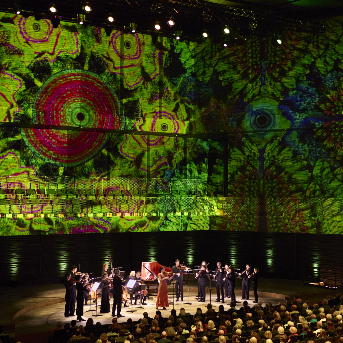 Vivaldis Vier Jahreszeiten immersiv